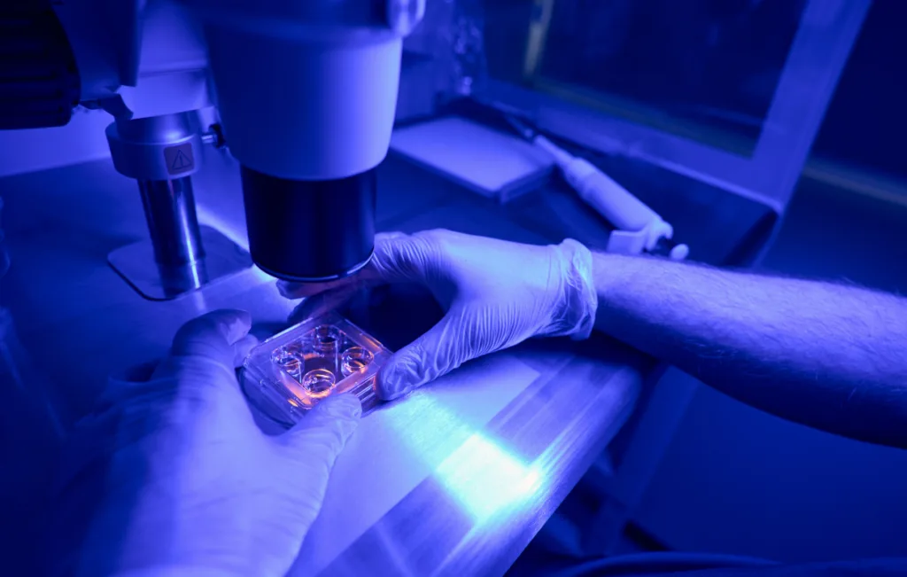 In a laboratory bathed in blue light, a person wearing gloves examines a sample under the microscope, embodying the forefront of advanced medicine.
