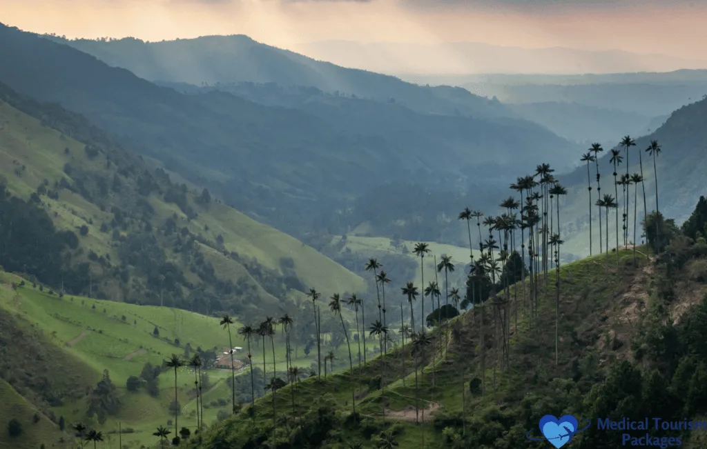 This photo captures the breathtaking beauty of Cocora Valley, one of the best tourist attractions in Colombia, located in the heart of the Coffee Region. Known for its towering wax palms, the tallest palm trees in the world, lush green landscapes, and scenic hiking trails, Cocora Valley is a must-visit destination for nature lovers and adventure seekers. Visitors can hike through the cloud forest, explore traditional coffee farms, and take in panoramic views of Colombia's stunning Andean countryside, making it an unforgettable experience.