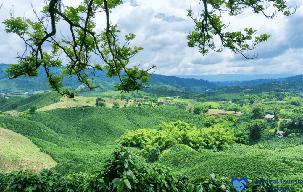 This photo showcases the beauty of a Colombian coffee farm, one of the best tourist attractions in Colombia for coffee lovers and nature enthusiasts. Nestled in the lush Coffee Cultural Landscape, these farms offer visitors an immersive experience in the coffee production process, from bean harvesting to brewing a perfect cup. Surrounded by breathtaking mountain views, a visit to a Colombian coffee farm provides a unique opportunity to taste world-renowned coffee while learning about Colombia's rich coffee heritage.