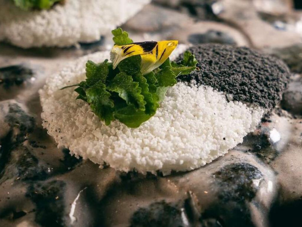 A close-up of an intricately plated dish with a textured white base, leafy greens, a yellow garnish, and a section covered in black powder—each element creating a perfect balance for both flavor and wellness.