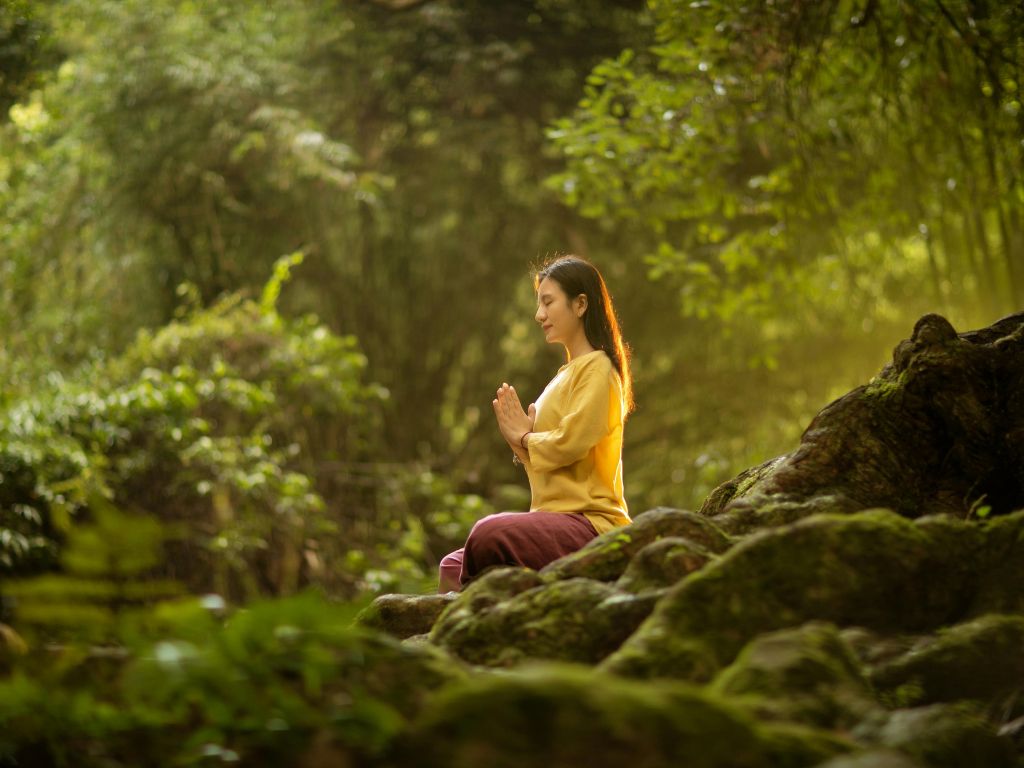 A person sits cross-legged on mossy rocks in a forest, eyes closed and hands together in a meditative pose, embracing balance and wellness amidst lush greenery and soft sunlight.