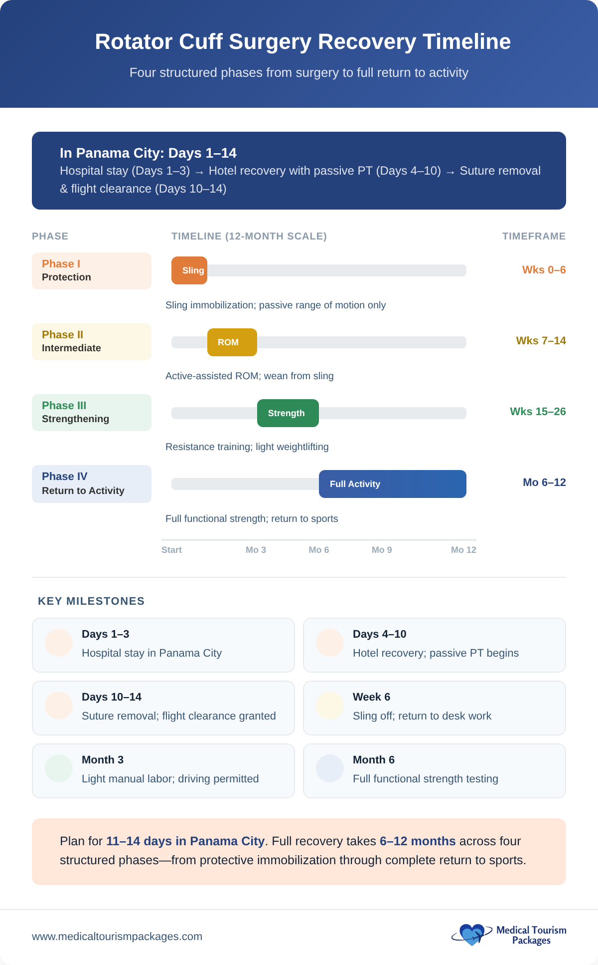 Rotator cuff surgery recovery timeline showing four phases over 12 months