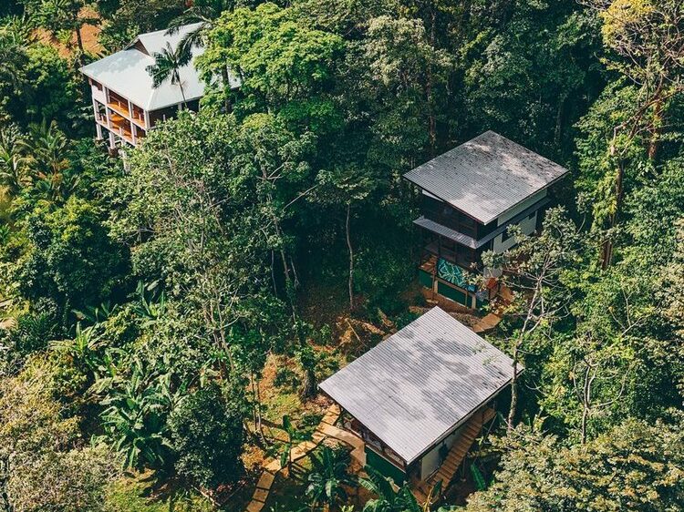 Vista aérea de tres modernas cabañas rodeadas de un denso y verde bosque tropical: un lugar ideal para retiros de yoga en Panamá y para quienes buscan una escapada de bienestar de lujo.