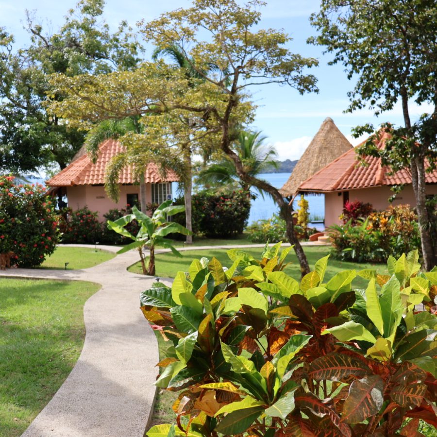 Un camino pavimentado serpentea por un jardín paisajista con plantas tropicales, que conduce a pequeños bungalows con tejados de tejas rojas y tranquilas vistas al agua: un entorno ideal para retiros de lujo de bienestar o yoga en Panamá en 2025.