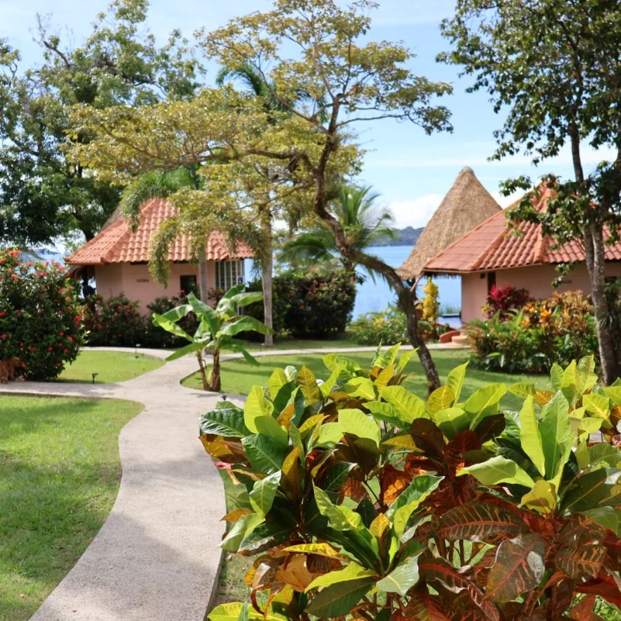 Un camino pavimentado serpentea por un jardín paisajista con plantas tropicales, que conduce a pequeños bungalows con tejados de tejas rojas y tranquilas vistas al agua: un entorno ideal para retiros de lujo de bienestar o yoga en Panamá en 2025.