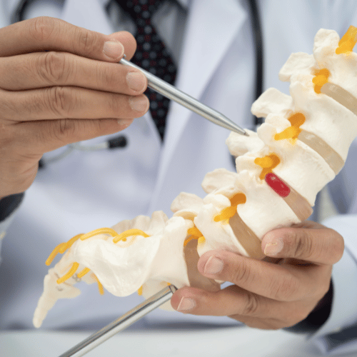 A doctor uses a pen to point at a model of the human spine, highlighting a red section representing a spinal issue, an informative moment often seen in Latin America’s growing medical tourism and wellness travel sectors.