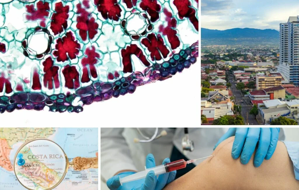 Un collage muestra una sección transversal del tallo de una planta, un paisaje urbano, un mapa de Costa Rica y un médico inyectando la rodilla de un paciente, lo que insinúa la promesa de la terapia con células madre en Costa Rica.