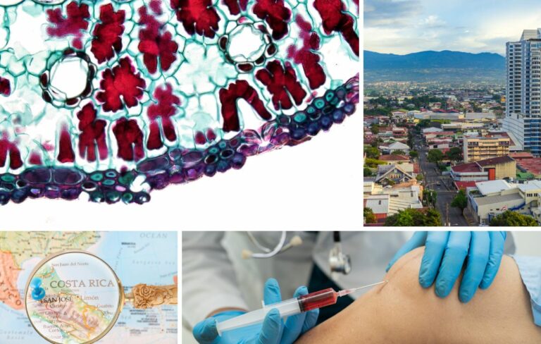A collage shows a plant stem cross-section, a cityscape, a Costa Rica map, and a doctor injecting a patient’s knee—hinting at the promise of Stem Cell Therapy in Costa Rica.