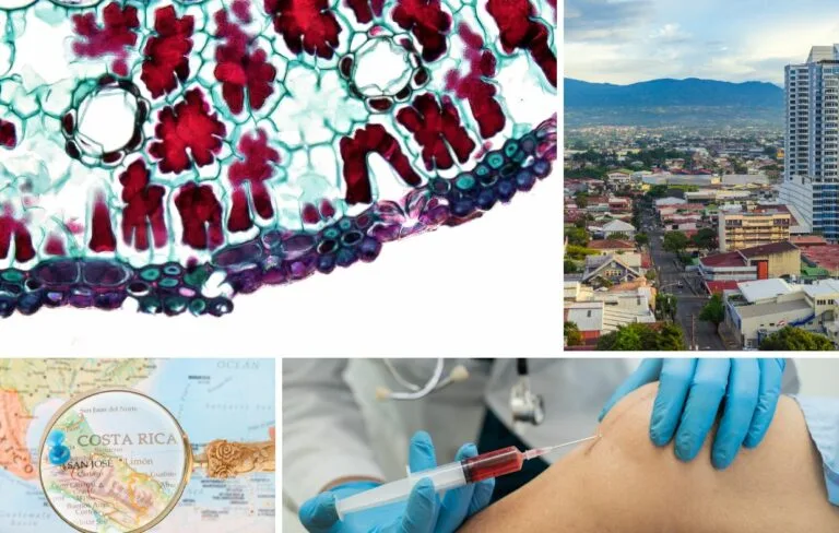 A collage shows a plant stem cross-section, a cityscape, a Costa Rica map, and a doctor injecting a patient’s knee—hinting at the promise of Stem Cell Therapy in Costa Rica.
