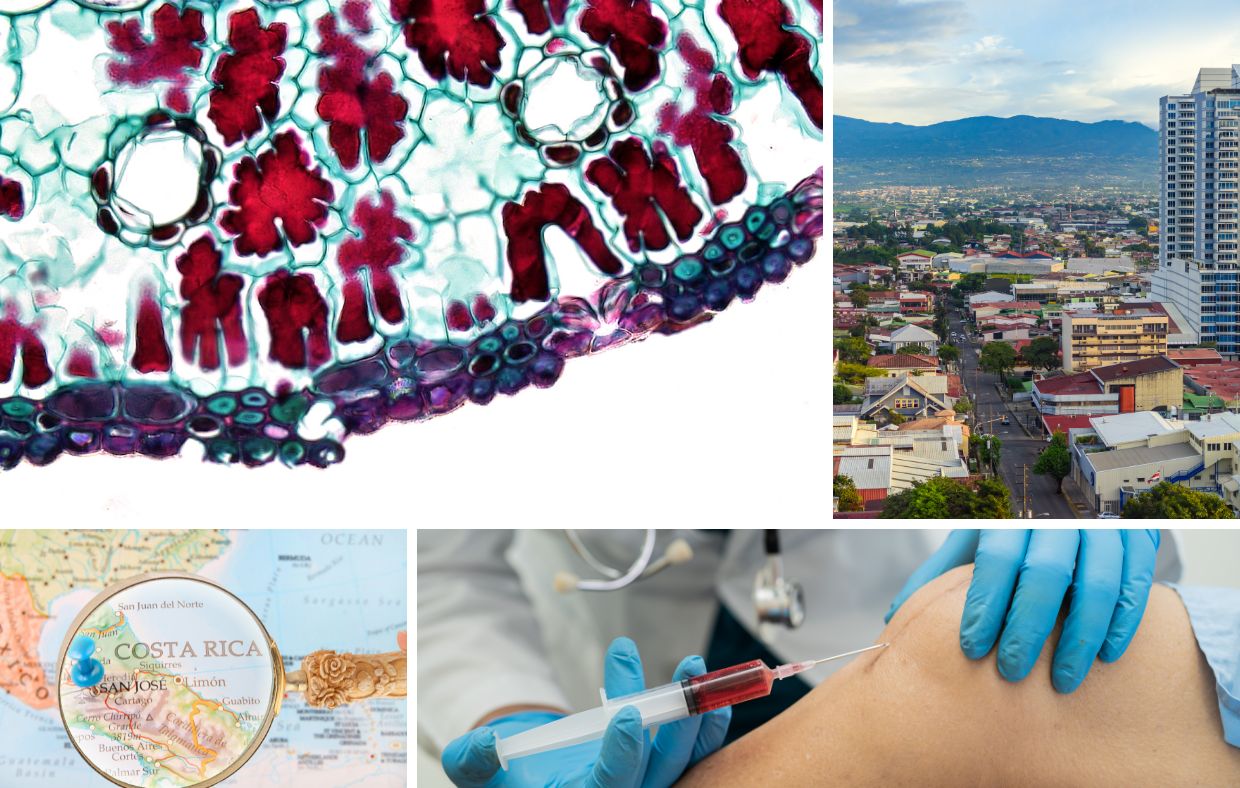A collage shows a plant stem cross-section, a cityscape, a Costa Rica map, and a doctor injecting a patient’s knee—hinting at the promise of Stem Cell Therapy in Costa Rica.