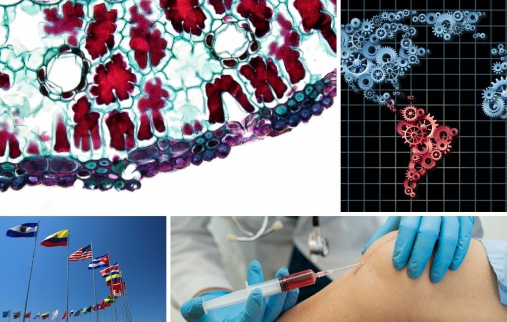 Collage de cuatro imágenes: un corte transversal de células vegetales, un mapa de engranajes de América Latina, banderas internacionales y un profesional médico administrando terapia con células madre.