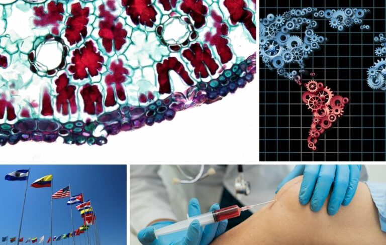 Collage of four images: a plant cell cross-section, a gear map of Latin America, international flags, and a medical professional administering Stem Cell Therapy.