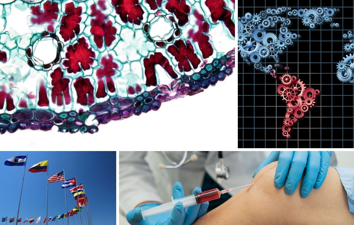 Collage of four images: a plant cell cross-section, a gear map of Latin America, international flags, and a medical professional administering Stem Cell Therapy.